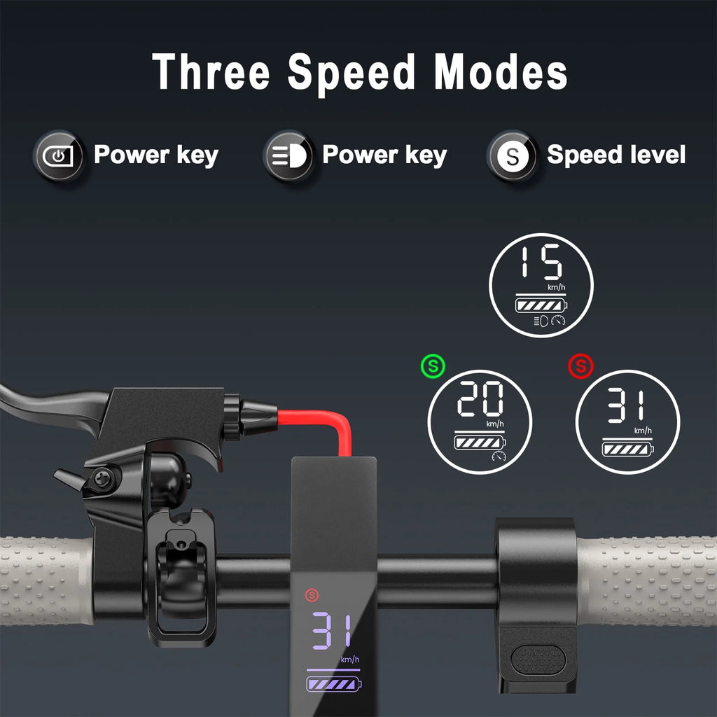 350W Foldable Electric Scooter V8336