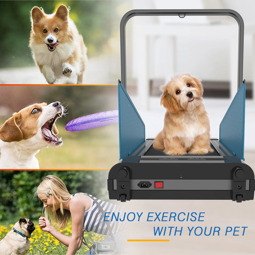 Dog Treadmill Small Dogs C5916