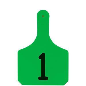 Cow Green Laser B315