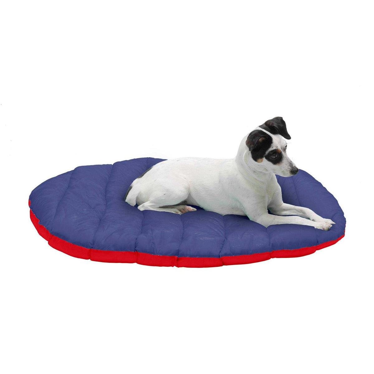 Packable Travel Dog Bed N702