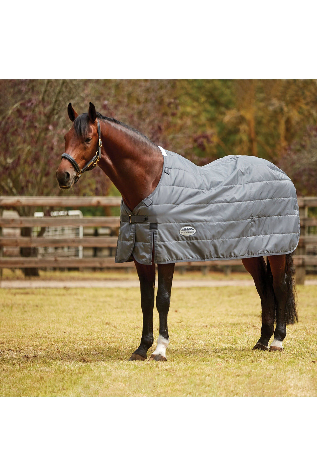 Medium Lite Liner M10837