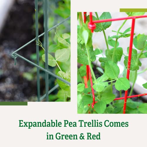 Expandable Tall Pea Trellis for Climbing Plants, 9'-8" L x 37" H - Green T162