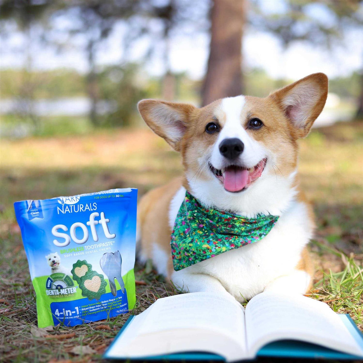 Dog Toothpaste B443