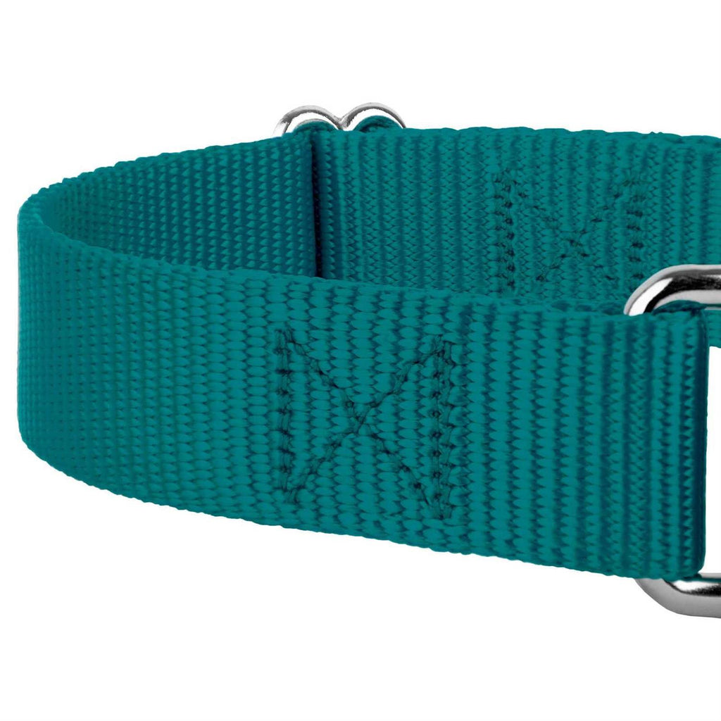 Nylon Dog Collar X802096