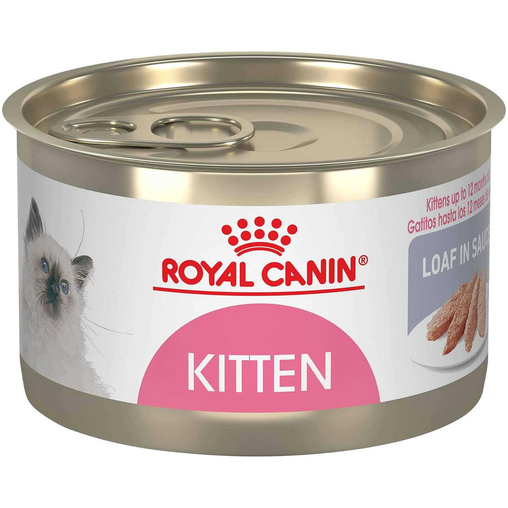 Kitten Loaf in Sauce Cat Food X4753