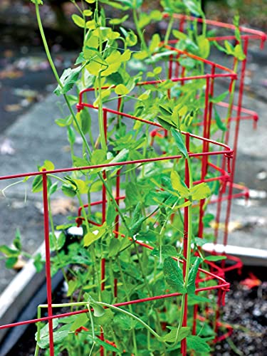 Expandable Tall Pea Trellis for Climbing Plants, 9'-8" L x 37" H - Green T162