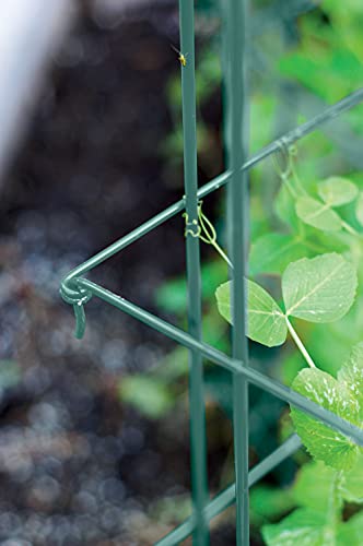 Expandable Tall Pea Trellis for Climbing Plants, 9'-8" L x 37" H - Green T162