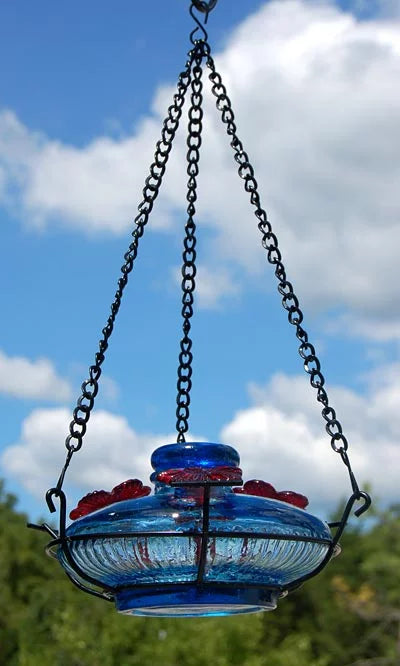 Aqua 16 oz Hummingbird Feeder with Perch H578826