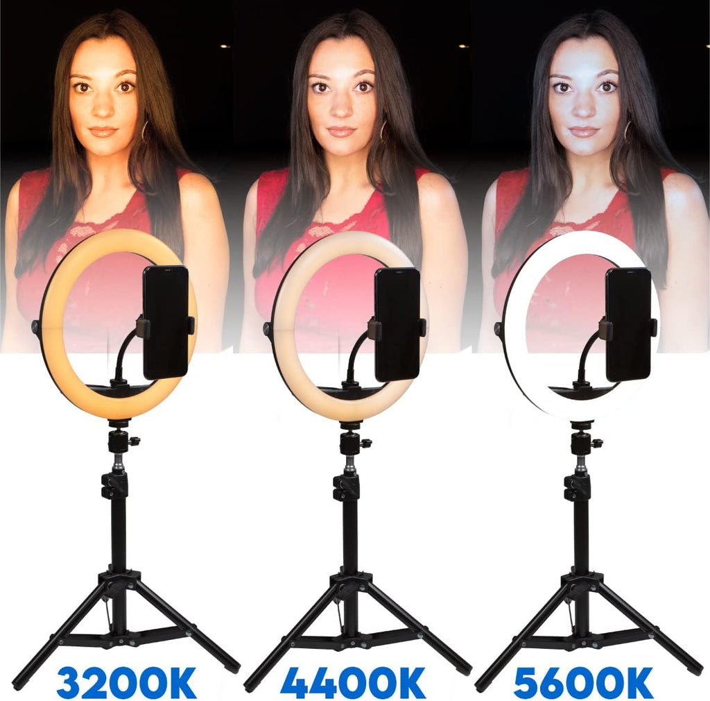 10 Compact Foldable Dimmable LED Video Ring Light Kit with Phone Holder and Light Stand F163361