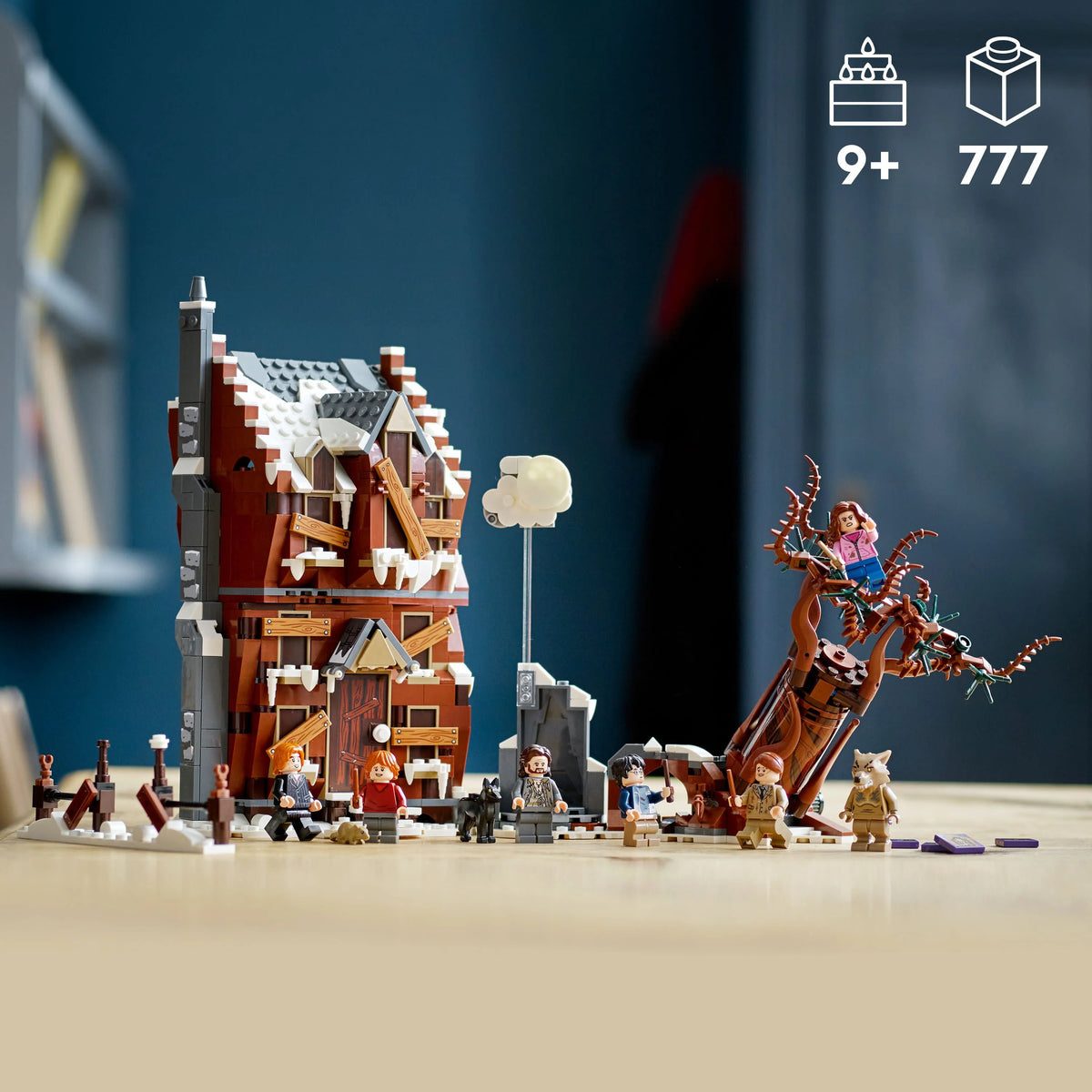 2 in 1 Wizarding World Toy N9976