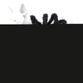 Black Medium Spider Pet Dog Costume W5158