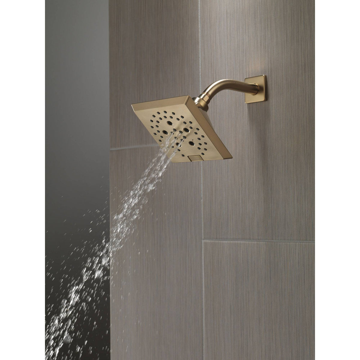 Champagne Bronze Raincan Shower Head P755