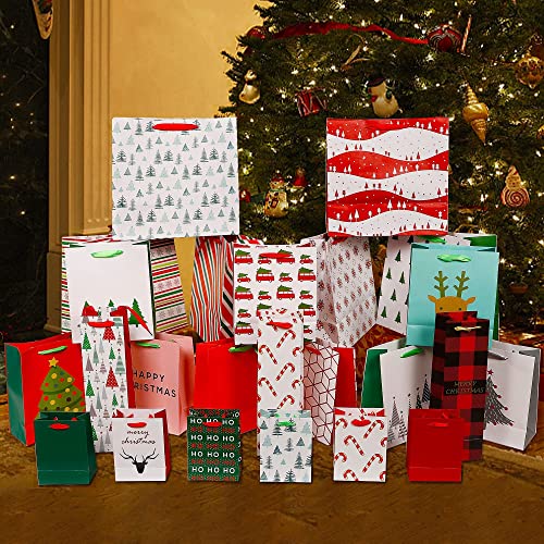 24 Packs Assorted Size Art Paper Gift Bags with Handles P83529