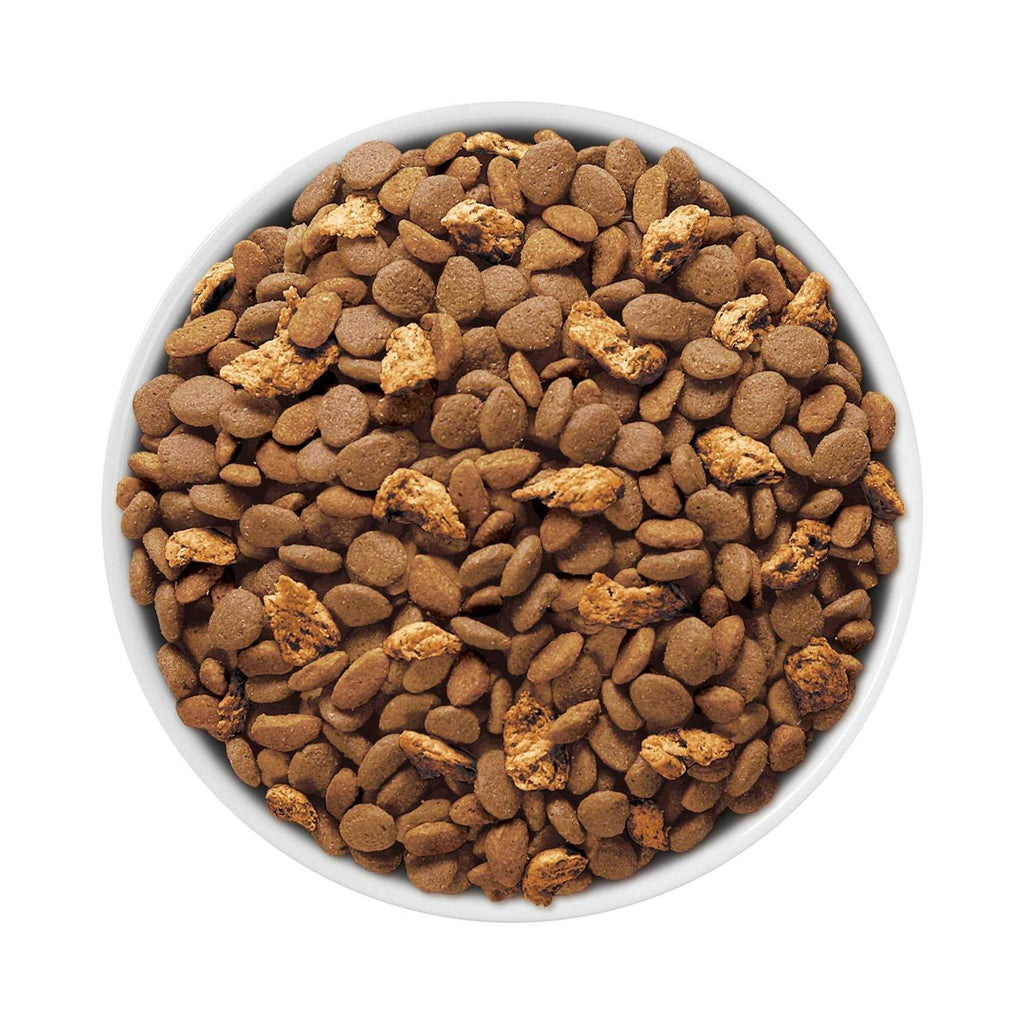 Dry Cat Food G6348