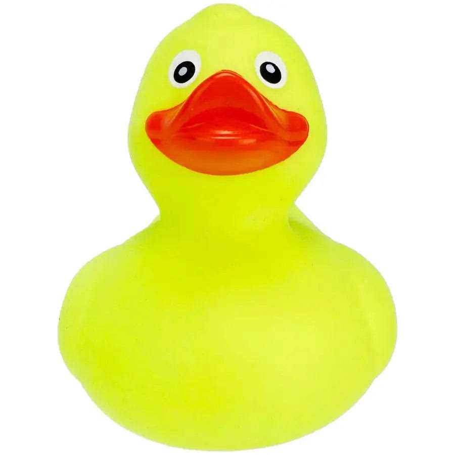 Rubber Duck Turtle Toy Medium Y22247