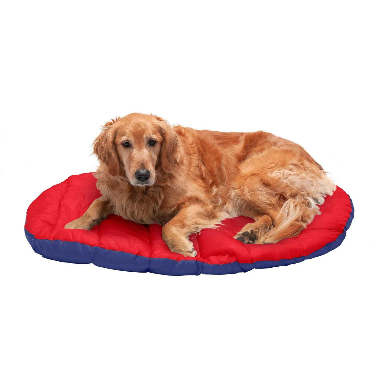 Packable Travel Dog Bed N702