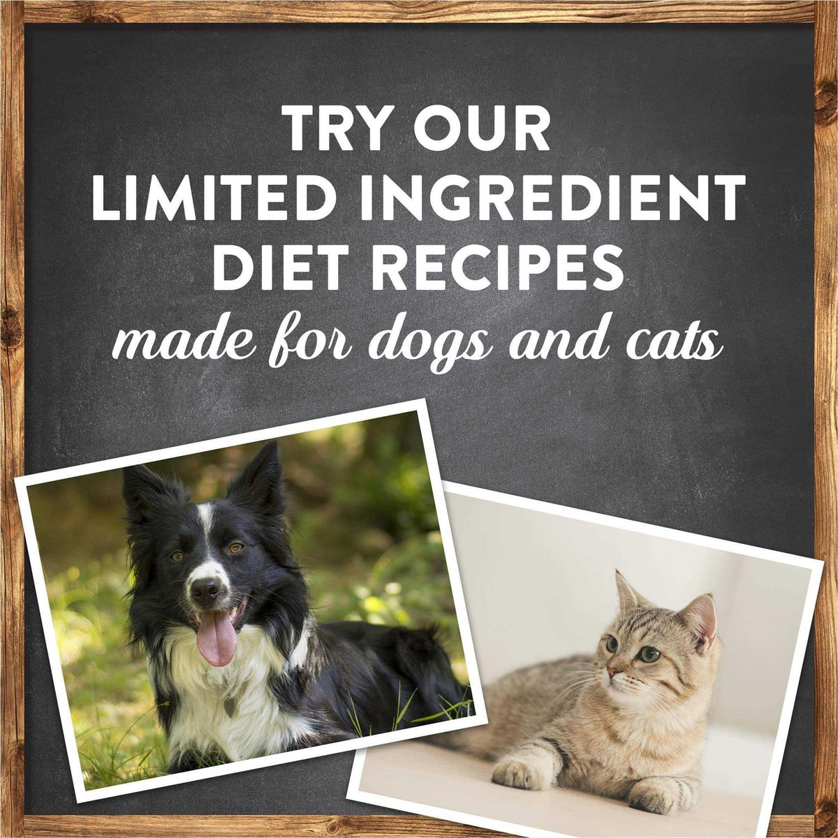 Grain Free Lamb Sweet Potato Recipe Dry Dog Food H51141