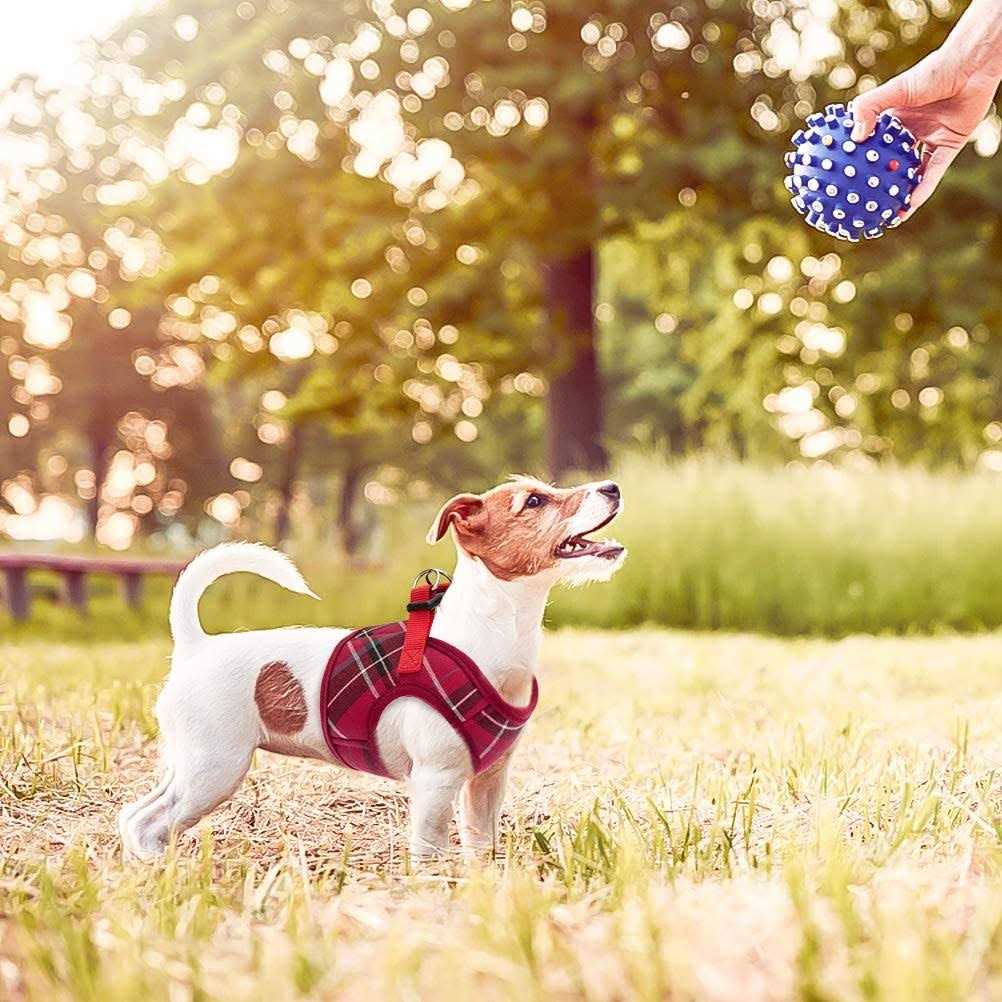 Soft Mesh Padded Dog Harness N50876