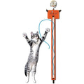 Cat Toy A101