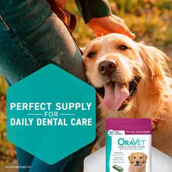 Dental Chews for Dogs Z694