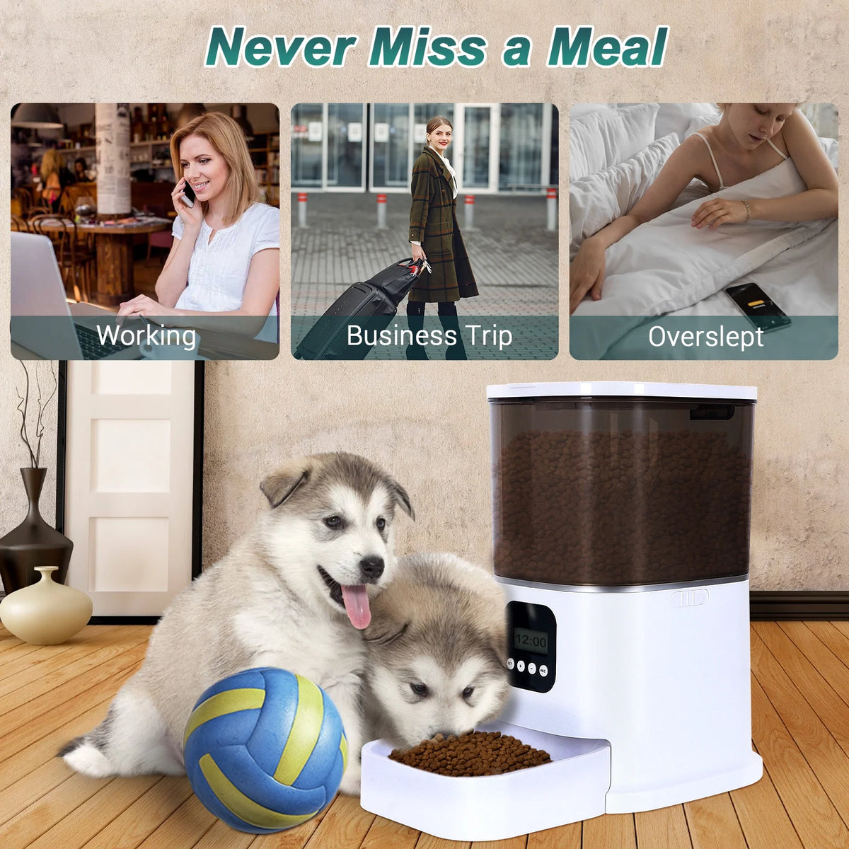 Automatic Cat Feeder 6L Dry Food Dispenser with Desiccant Bag S61420