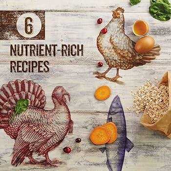 Grain-Free Wet Cat Food O651