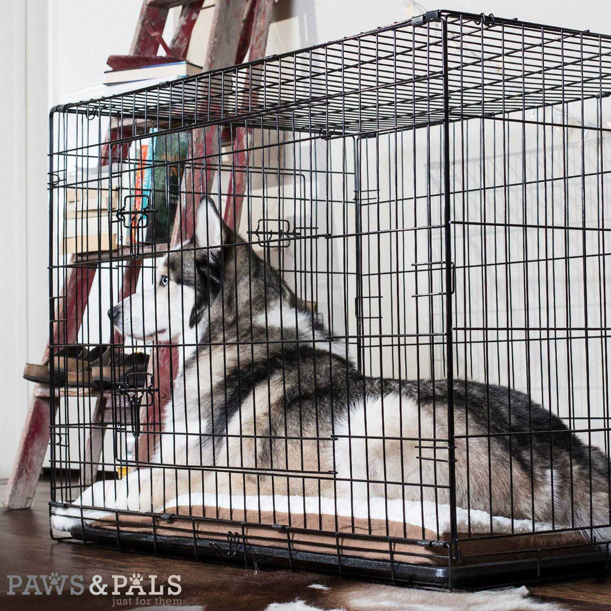 Double-Door Folding Wire Dog Crate E4046