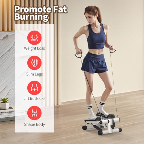 2-in-1 Stepper Machine with Resistance Bands E6828