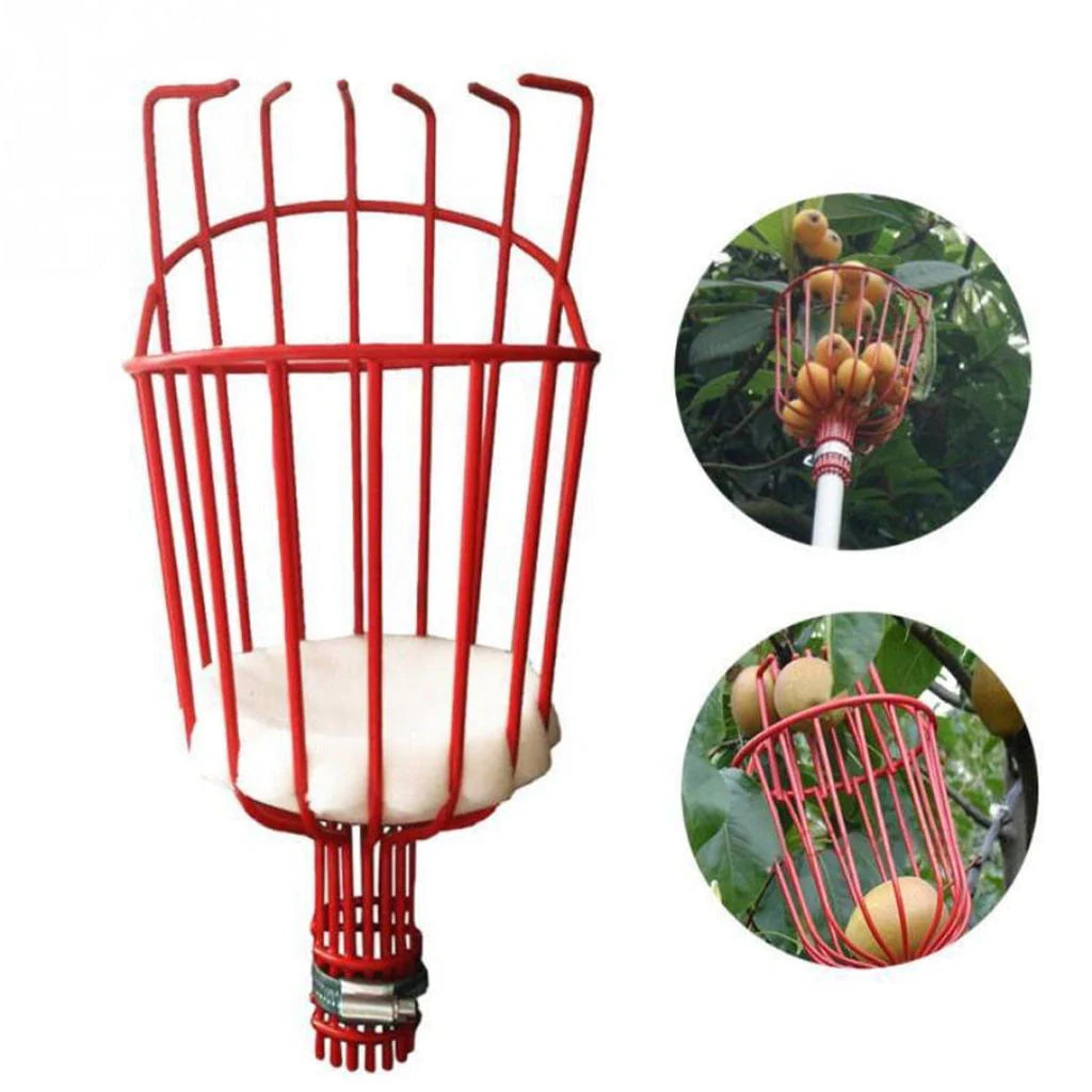 Fruit Harvester Basket with Cushion E9826