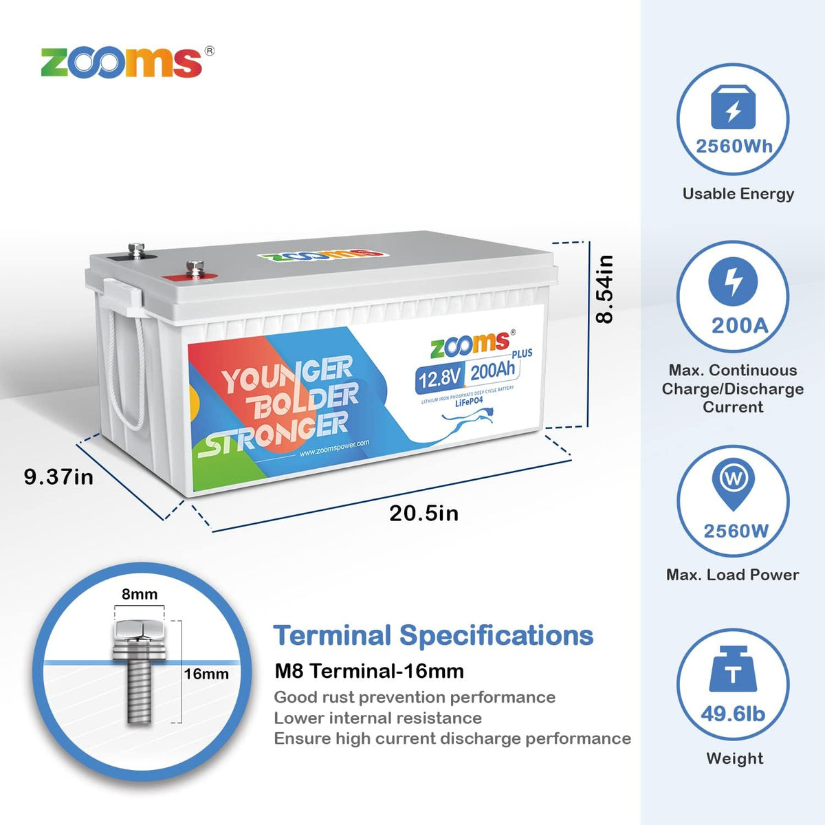 12.8V 200Ah Lithium LiFePO4 Battery with 200A BMS E79351