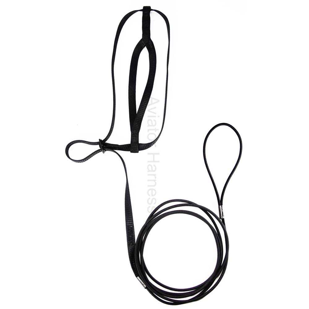 Bird Harness and Leash U840162