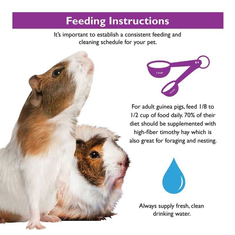 Guinea Pig Food C791869
