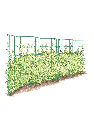Expandable Tall Pea Trellis for Climbing Plants, 9'-8" L x 37" H - Green T162