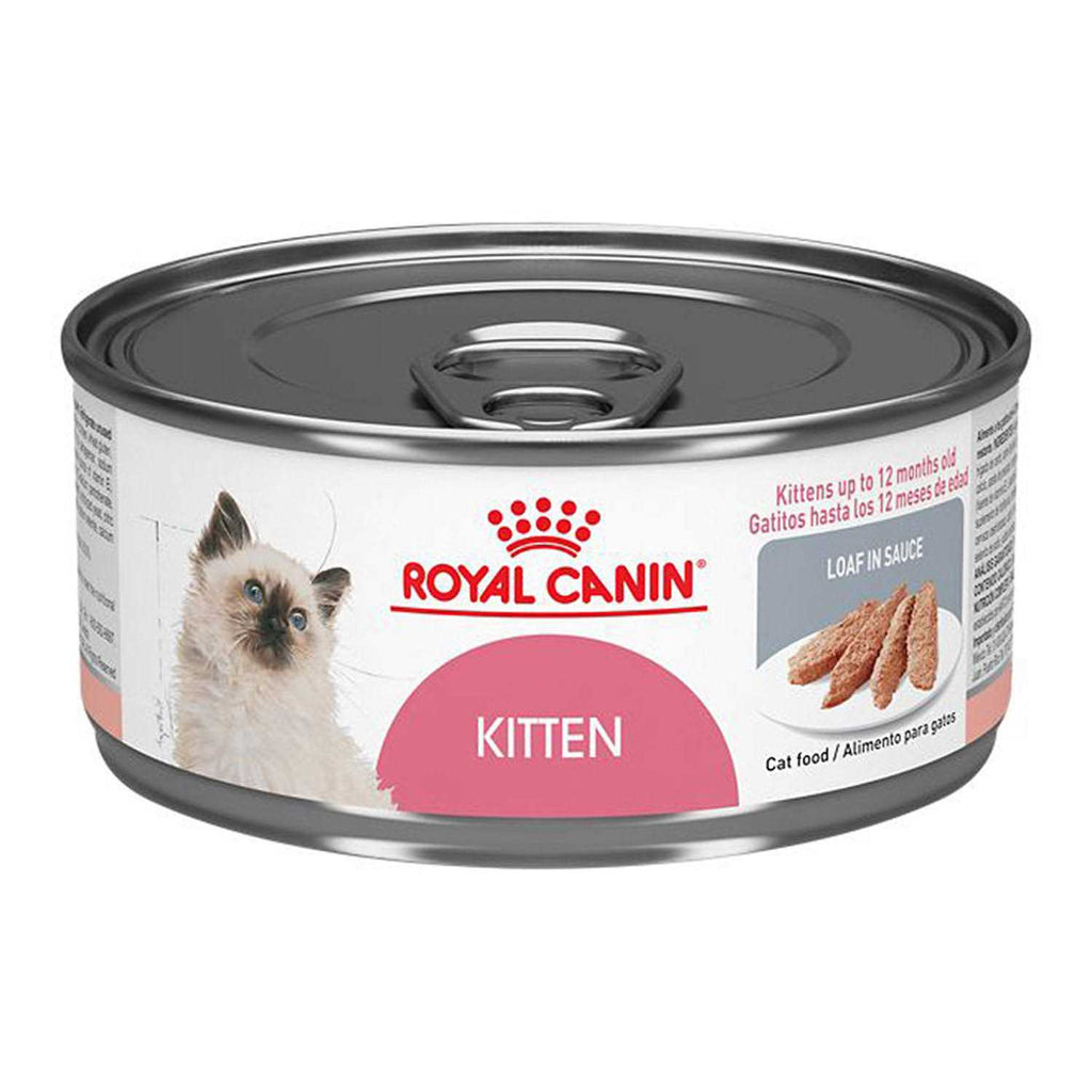 Kitten Loaf in Sauce Cat Food X4753
