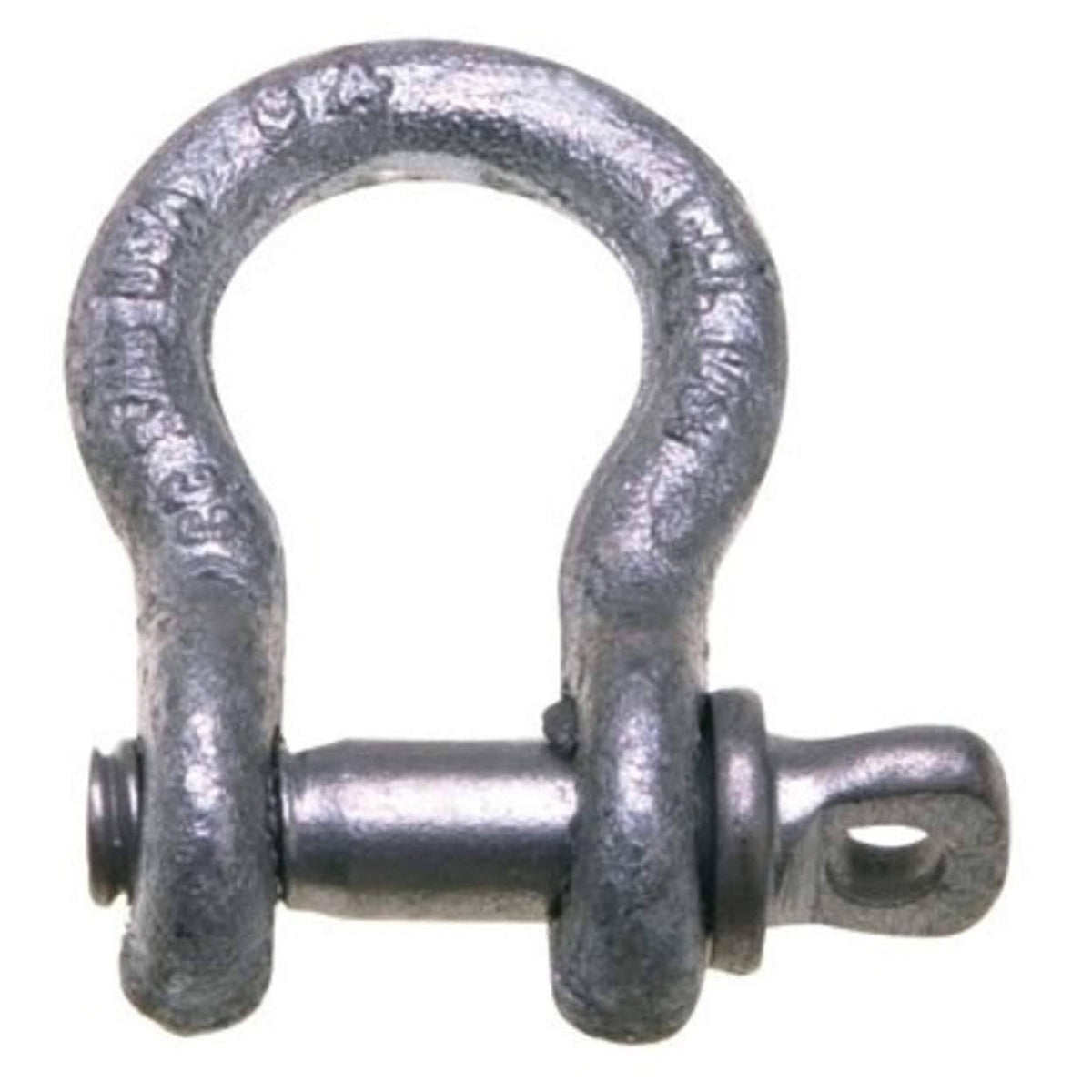 1 1/4 in Screw Pin Shackle V7076