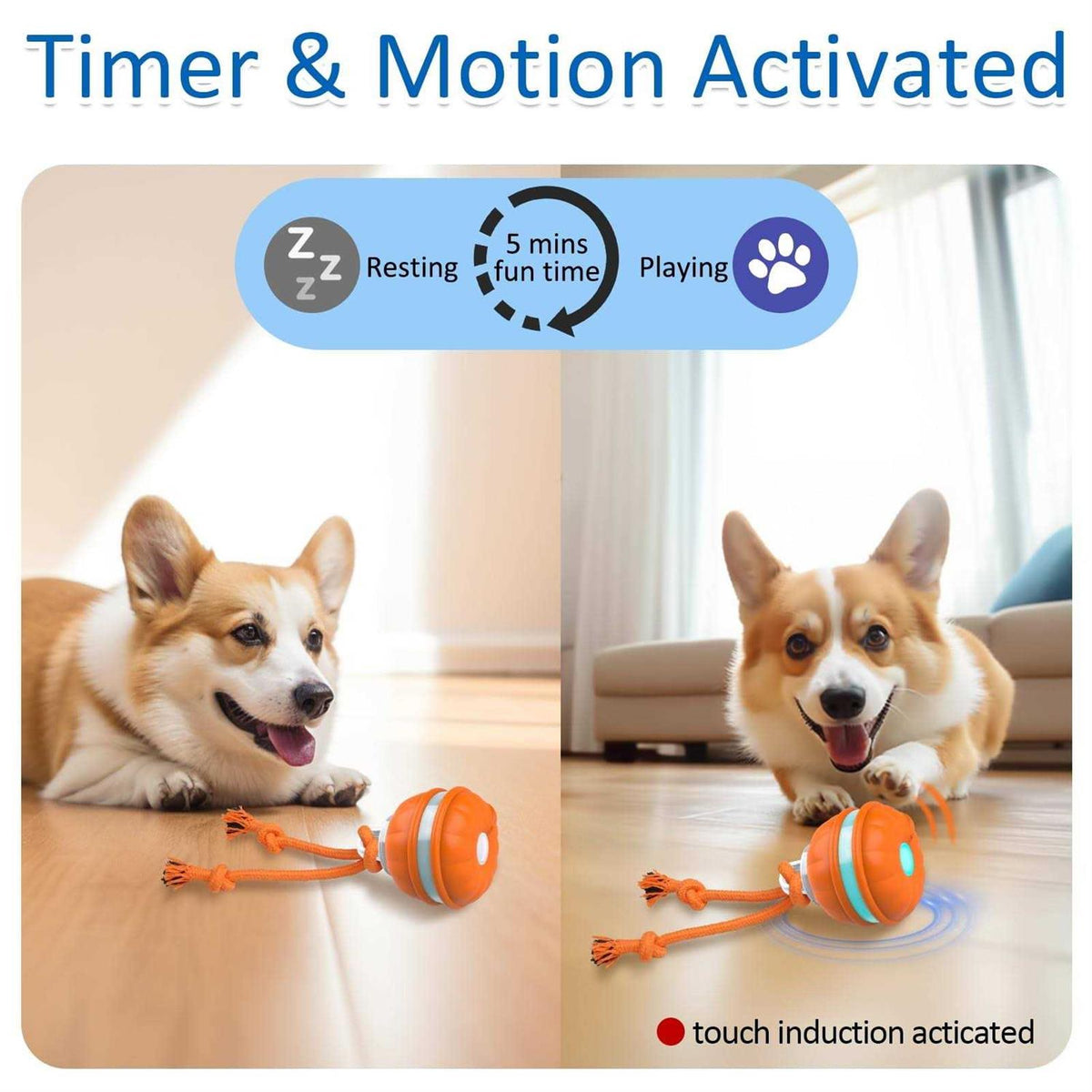 Interactive Dog Ball X33643
