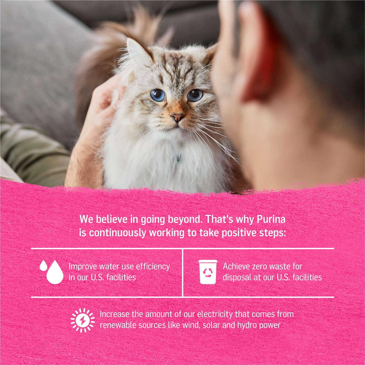 Grain-Free Wet Cat Food O651