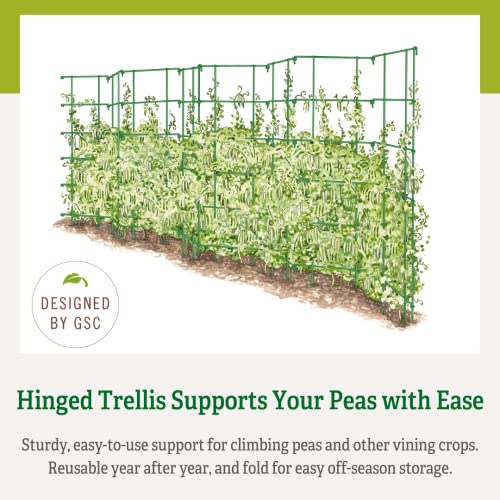 Expandable Tall Pea Trellis for Climbing Plants, 9'-8" L x 37" H - Green T162