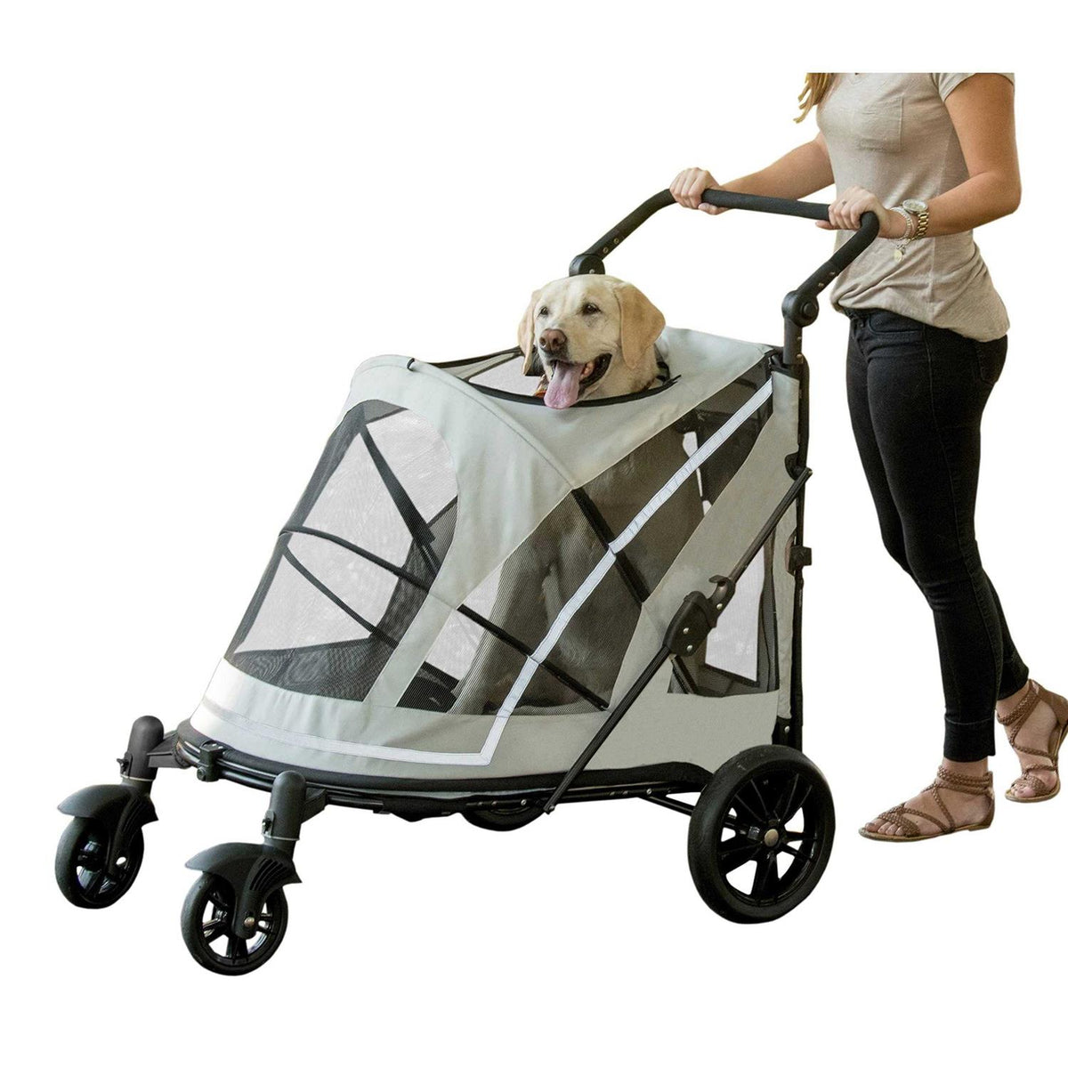 Pet Stroller J1664