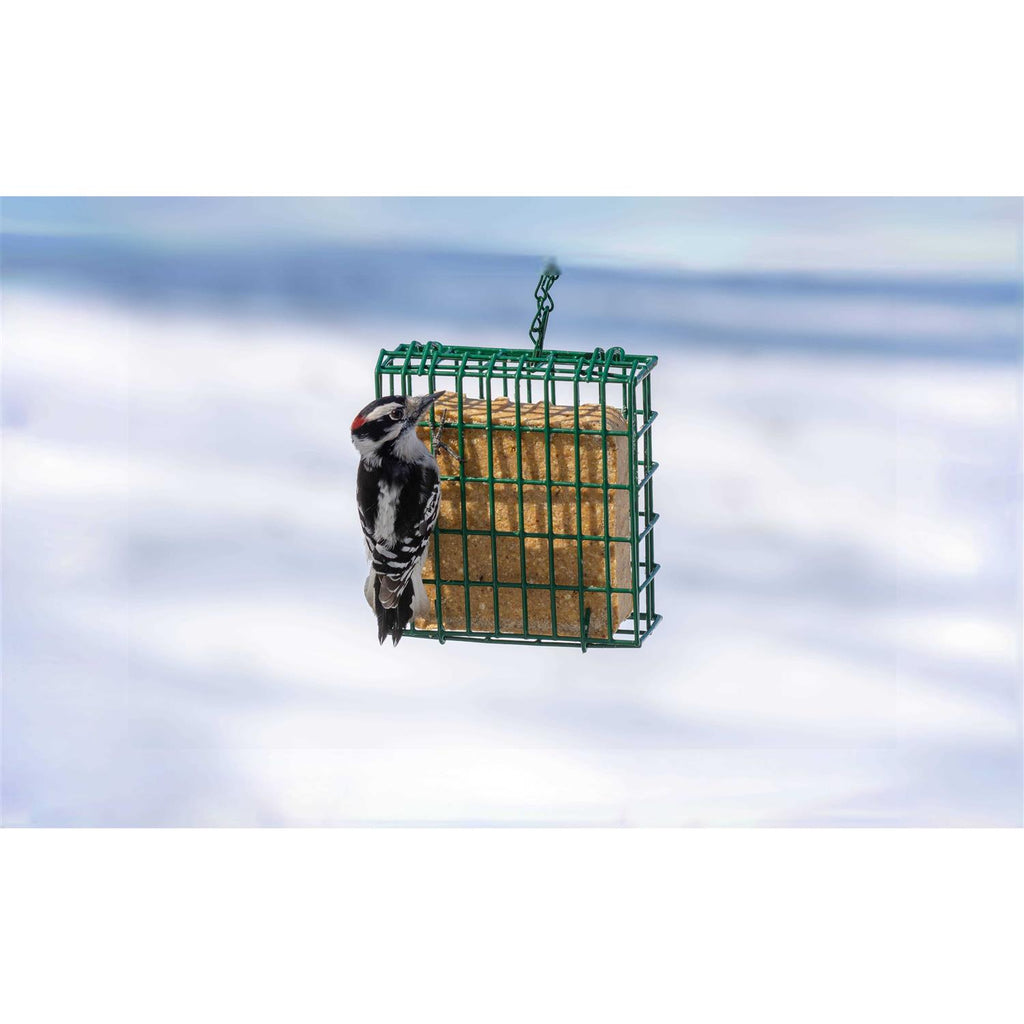 Mealworm Suet Dough U65400