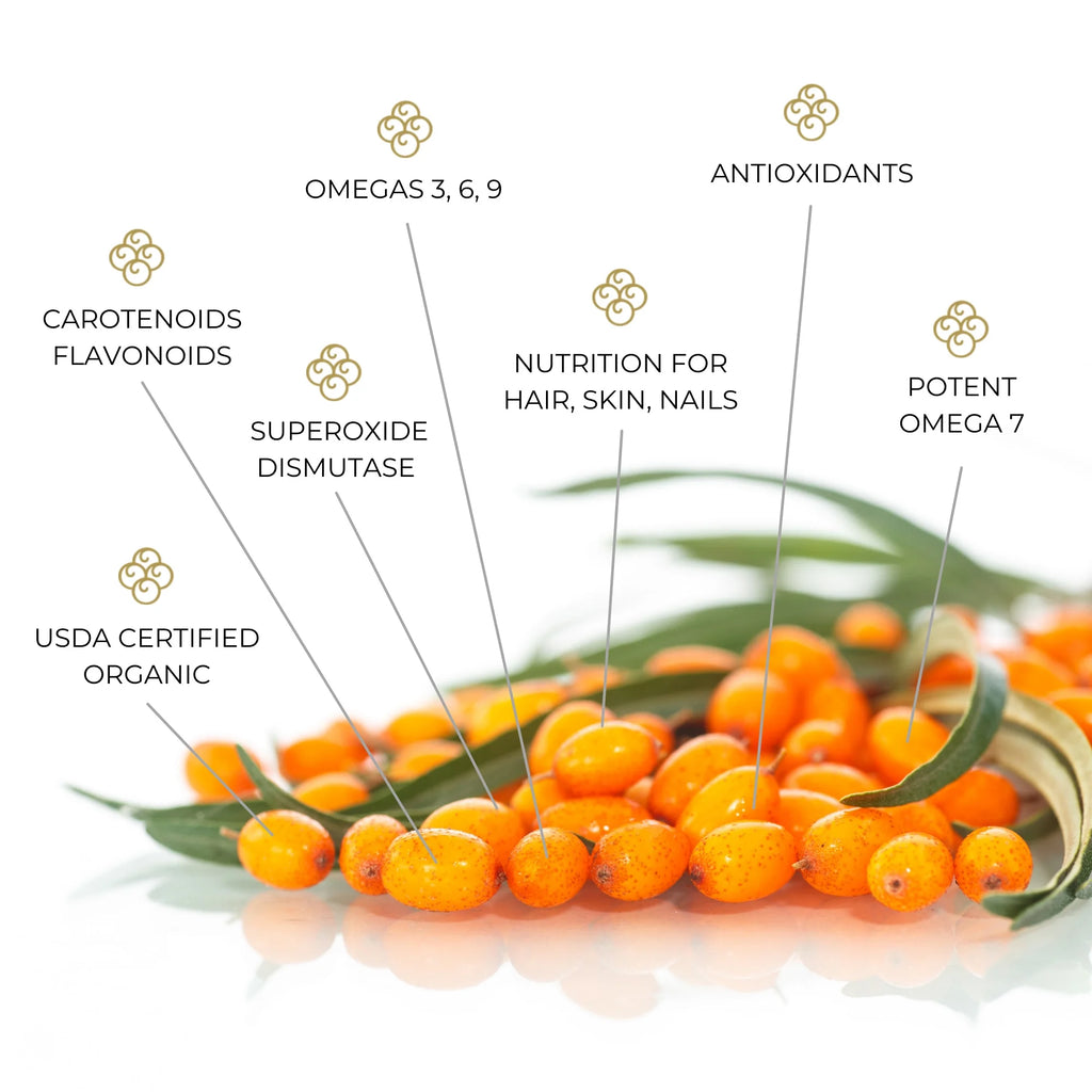 120ct Omega-7 Sea Buckthorn Softgels J5636
