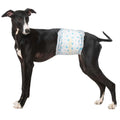 Soft Disposable Male Dog Wraps X530