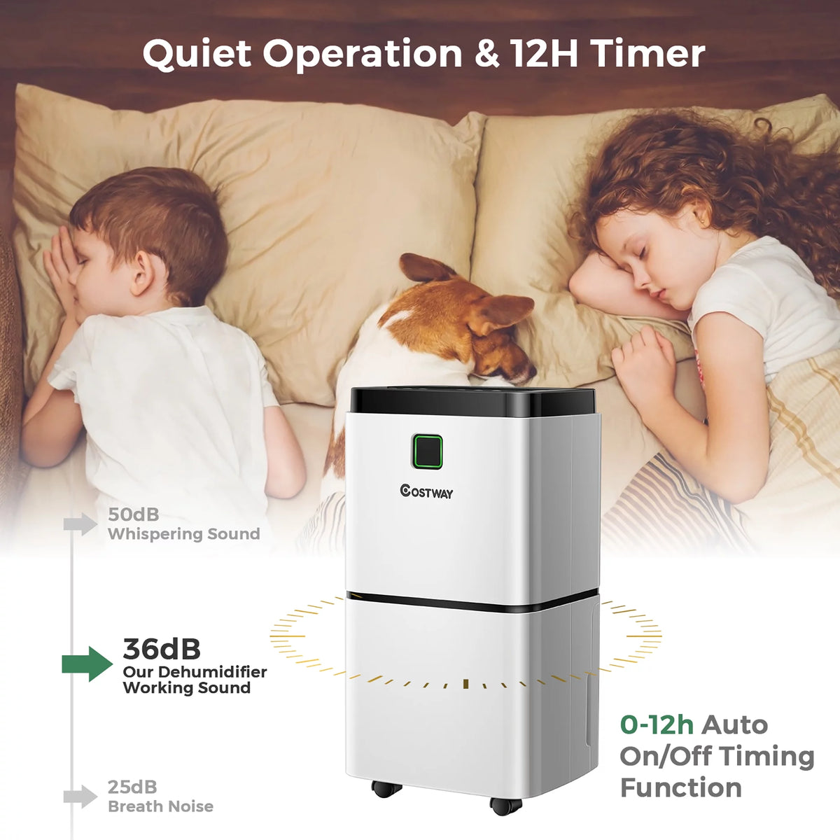 24 Pints Dehumidifier W8789