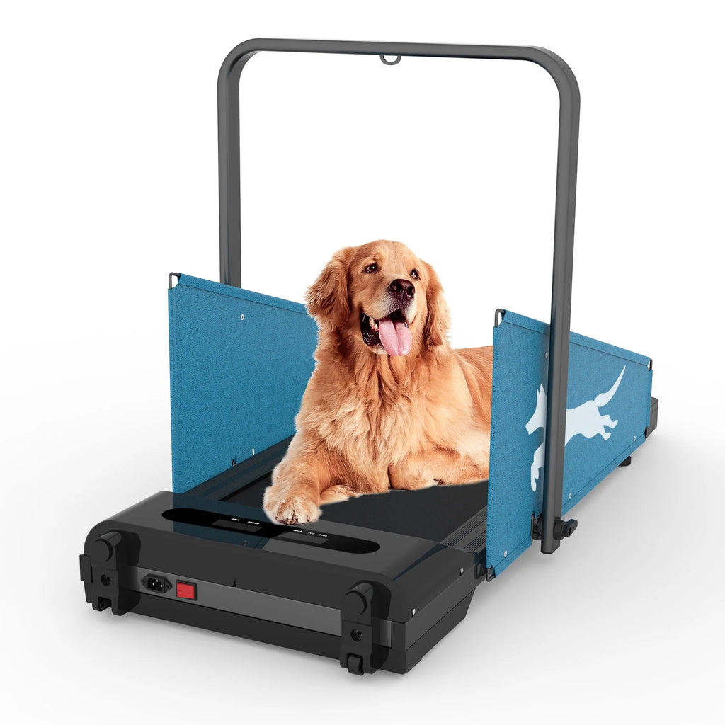 Dog Treadmill Small Dogs C5916