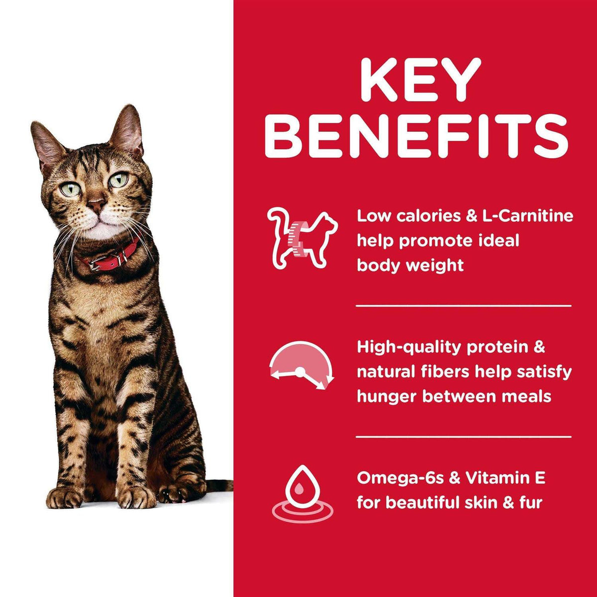 Adult Light Dry Cat Food Y388