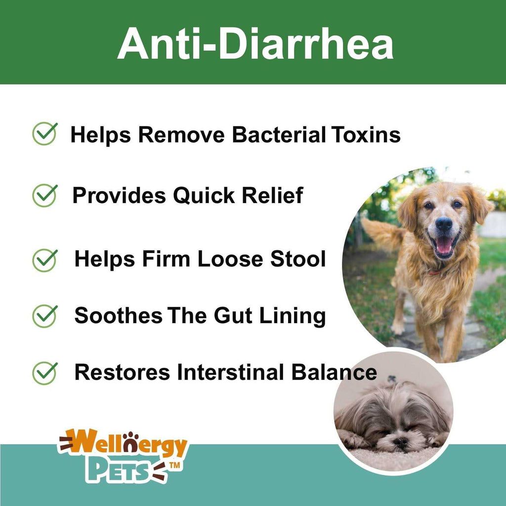 Anti-Diarrhea for Dogs & Cats Z158