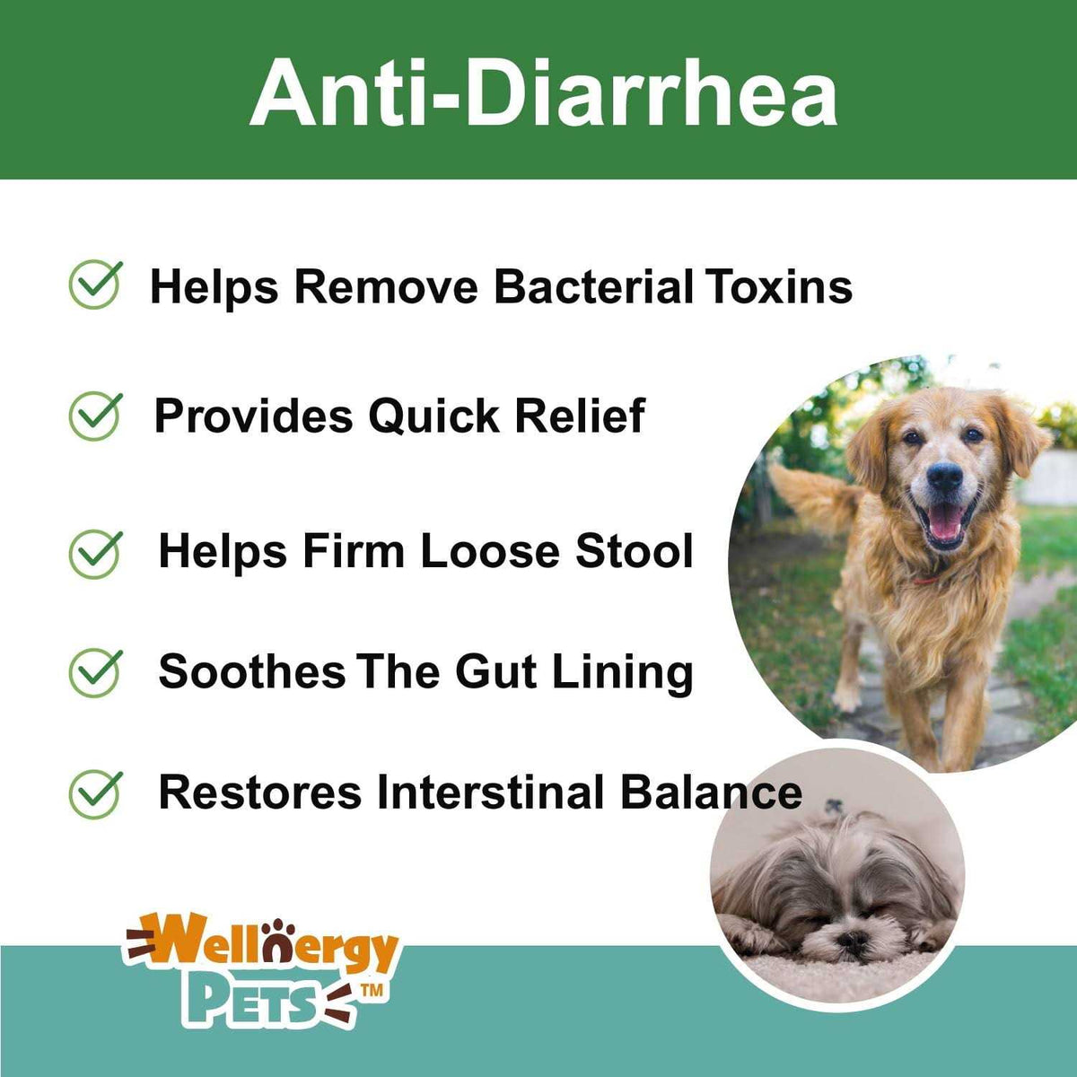 Anti-Diarrhea for Dogs & Cats Z158