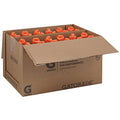 24 Oz Fruit Punch H608675