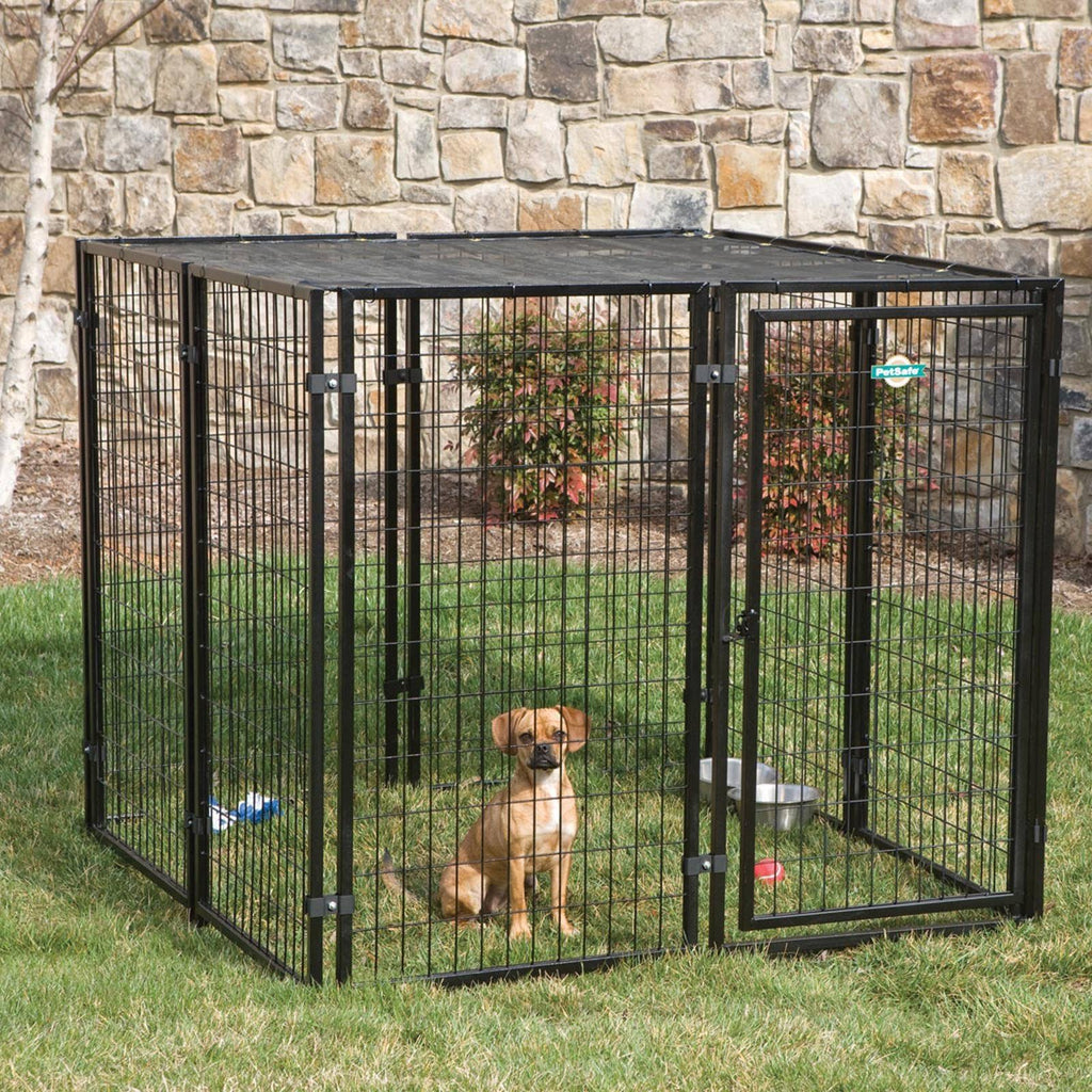 Black Dog Kennel I323413