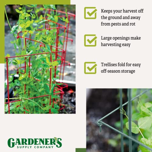 Expandable Tall Pea Trellis for Climbing Plants, 9'-8" L x 37" H - Green T162